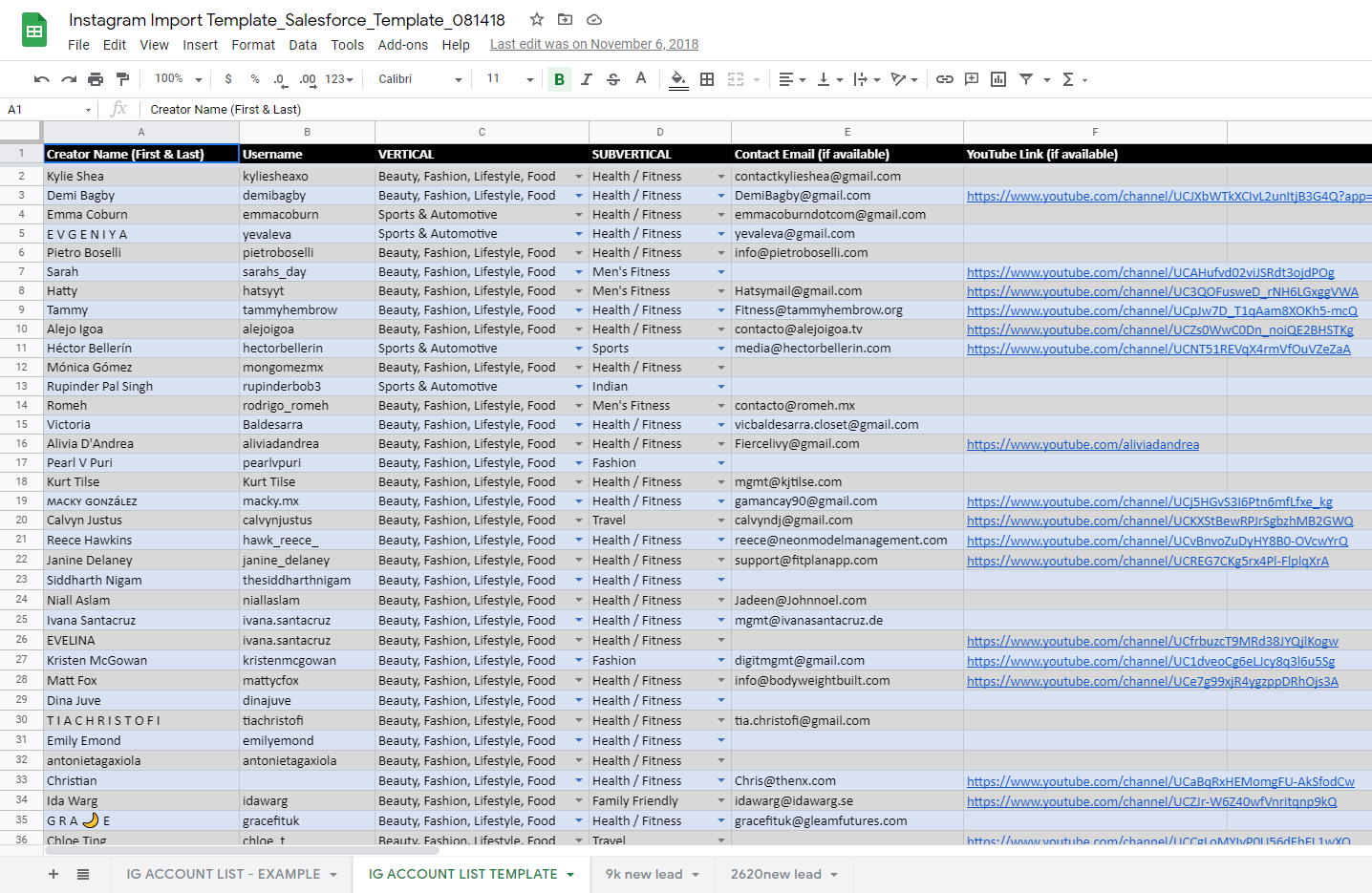 Instagram Influencer Lead Generation & Salesforce Import Project